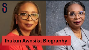 Ibukun Awosika Biography